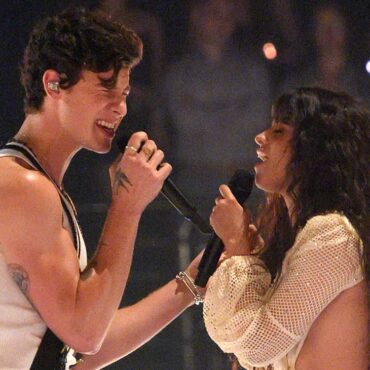 Camila Cabello Appears to Reflect on Emotional Split with Shawn Mendes