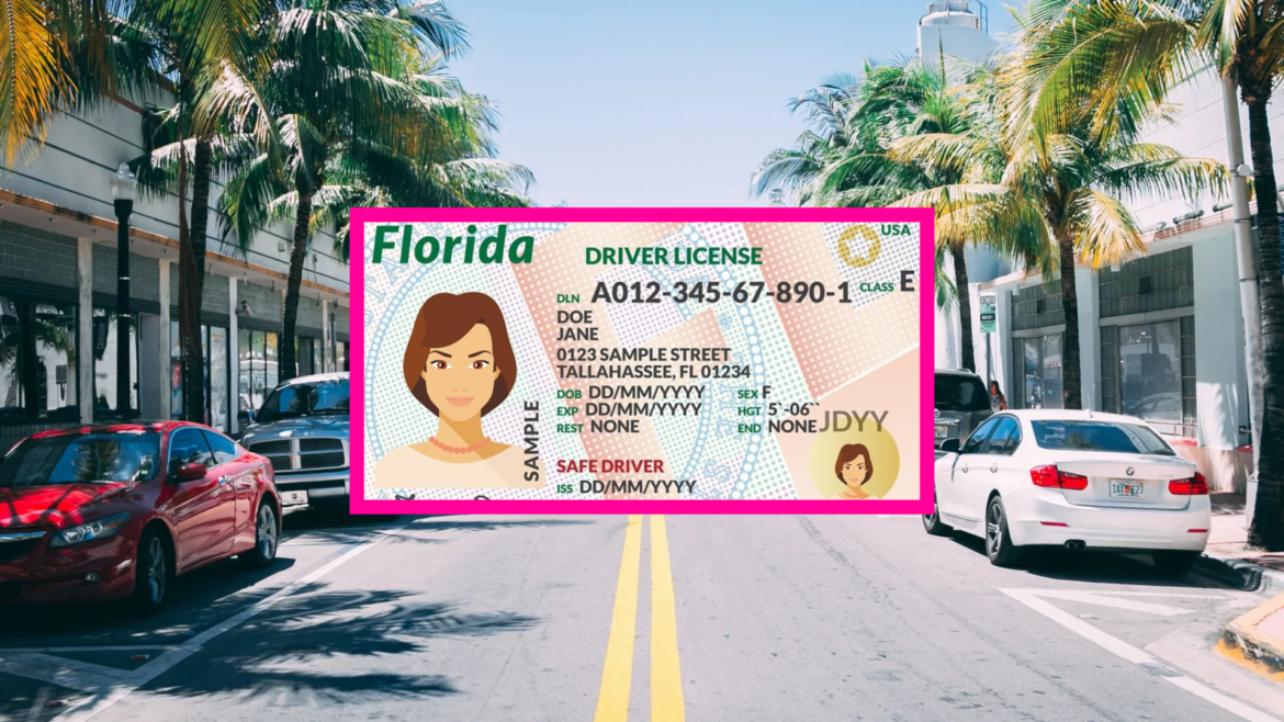 florida drivers license sample