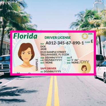 Florida Driver’s License Overhaul—What You Need to Know