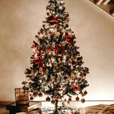 Miami Brightens the Holidays with Free Trees and Energy-Saving Tips