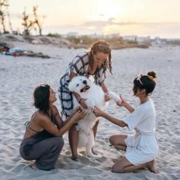 Pets Just Got Granted Legal Status And Not As Family Members Property