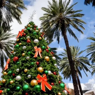 No Snow Needed: Miami Crowned America’s Top City for Christmas