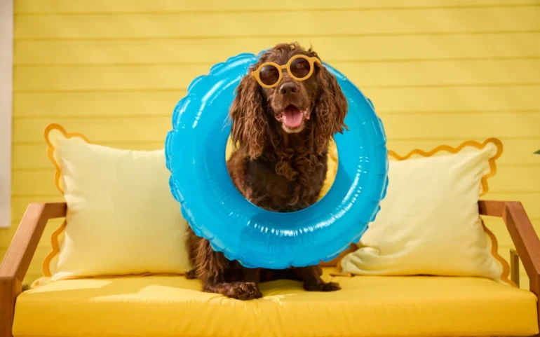 Chewy Summer Social Is Taking Over Miami With a Dog Pool Party This Weekend!