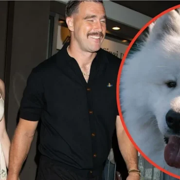 Taylor Swift and Travis Kelce’s Dog Wendy Is Already a Professional Model