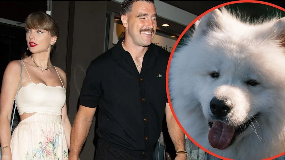 Taylor Swift and Travis Kelce’s Dog Wendy Is Already a Professional Model
