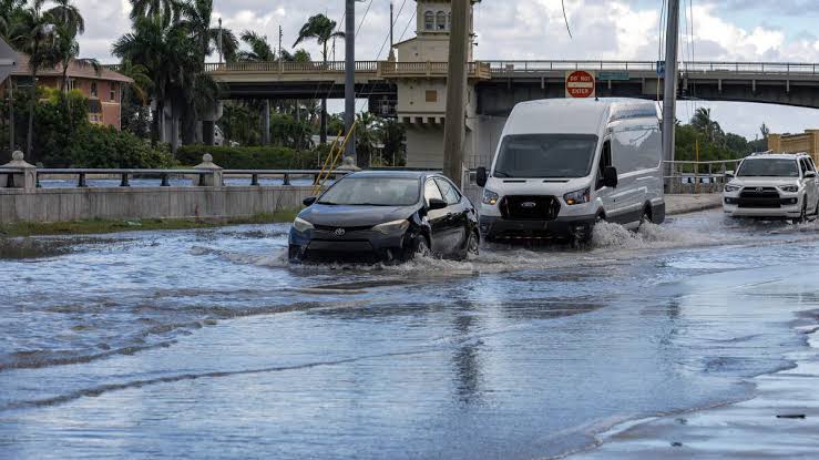 Miami King Tides 2026: Dates, Flood-Prone Areas & Where to Park for Free